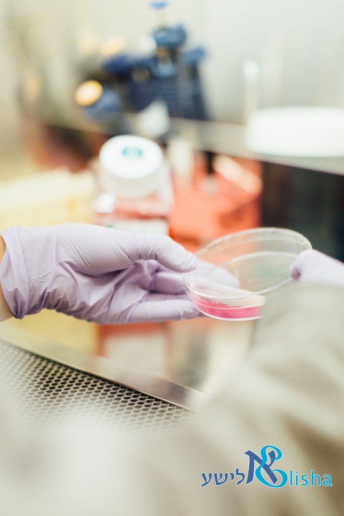 512654295_23894339346881772_6312271540343233434_n