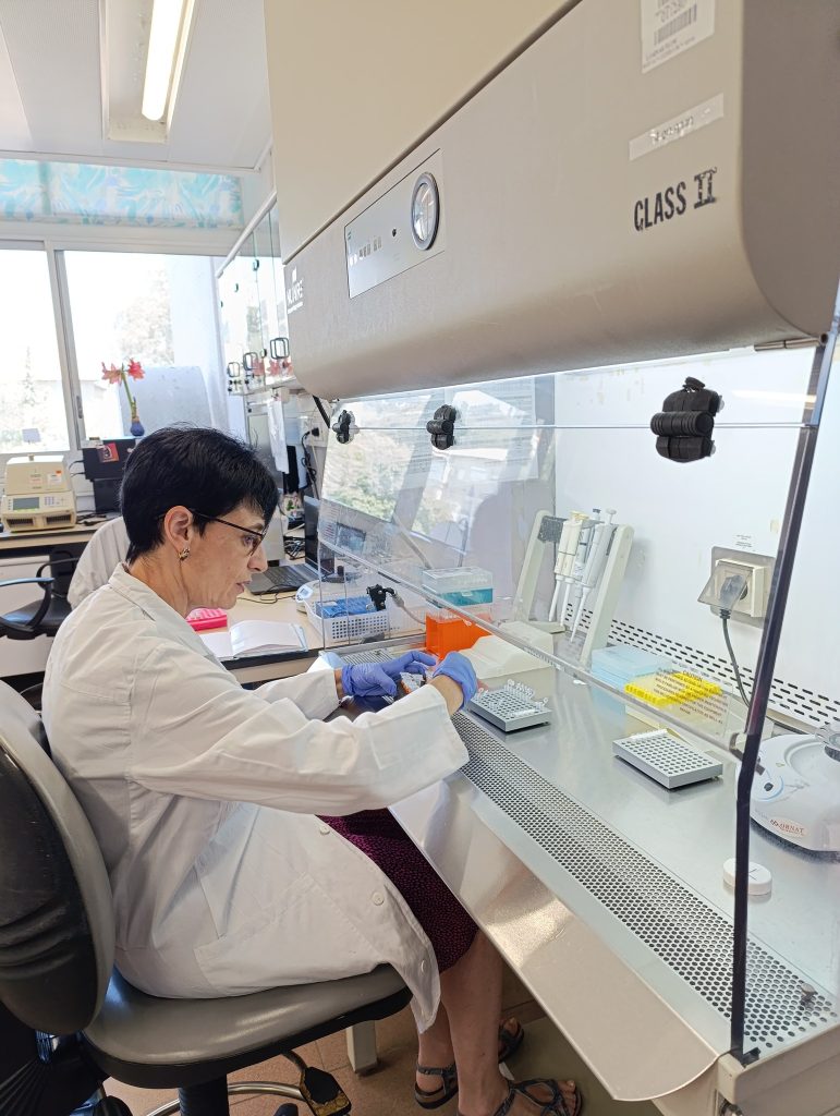 513534498_1136406308523921_7364381645104780280_n